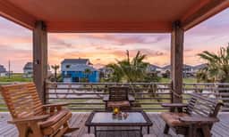 Four Palms - Image 2