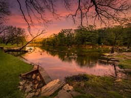 Gruene Luxury on the Guadalupe #303 - Image 4