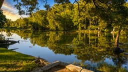 Gruene Haven #302 - Image 2