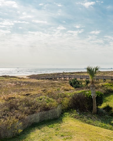 Coastal landscape with wooden boardwalk, dune vegetation, palm trees, and bay view under partly cloudy sky