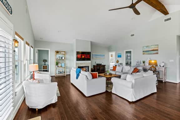 Sand Dollar - Image 5