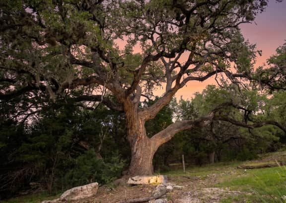 Century Oak House - Casita B - Image 5