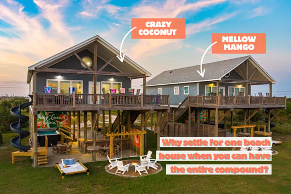 Crazy Coconut and Mellow Mango - Image 1