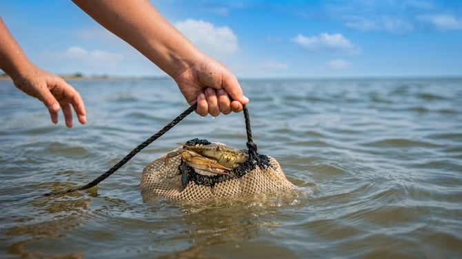 Crabbing at Crystal Beach: A Beginner's Guide for Families